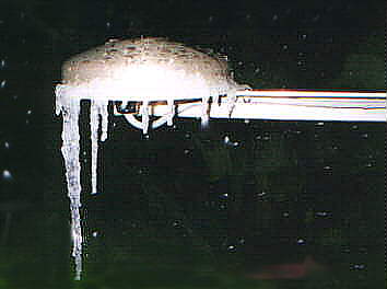 Hippic.jpg (11478 bytes)