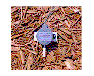 VadoScan low pressure sensor